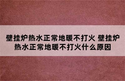 壁挂炉热水正常地暖不打火 壁挂炉热水正常地暖不打火什么原因